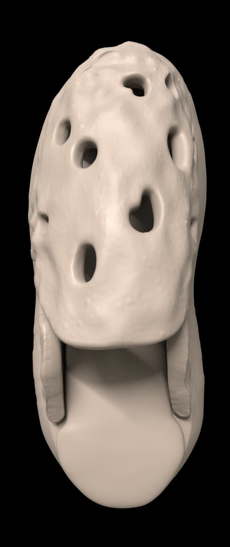 66246c12-0423-4651-86b7-0fad38b626fb